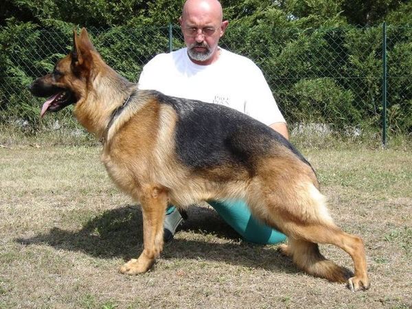 Voodoo des sources du Mejean